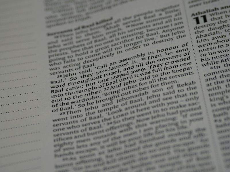 テレビ・新聞・雑誌のクリッピング調査